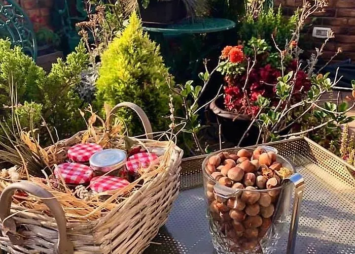 Hotel Belle Epoque Boutique (adults Only)