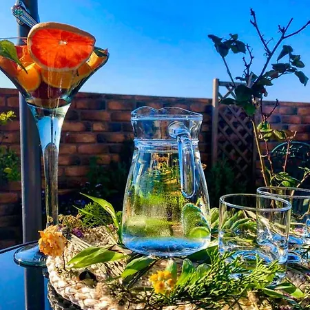 ホテル Belle Epoque Boutique (adults Only) コンスタンツァ